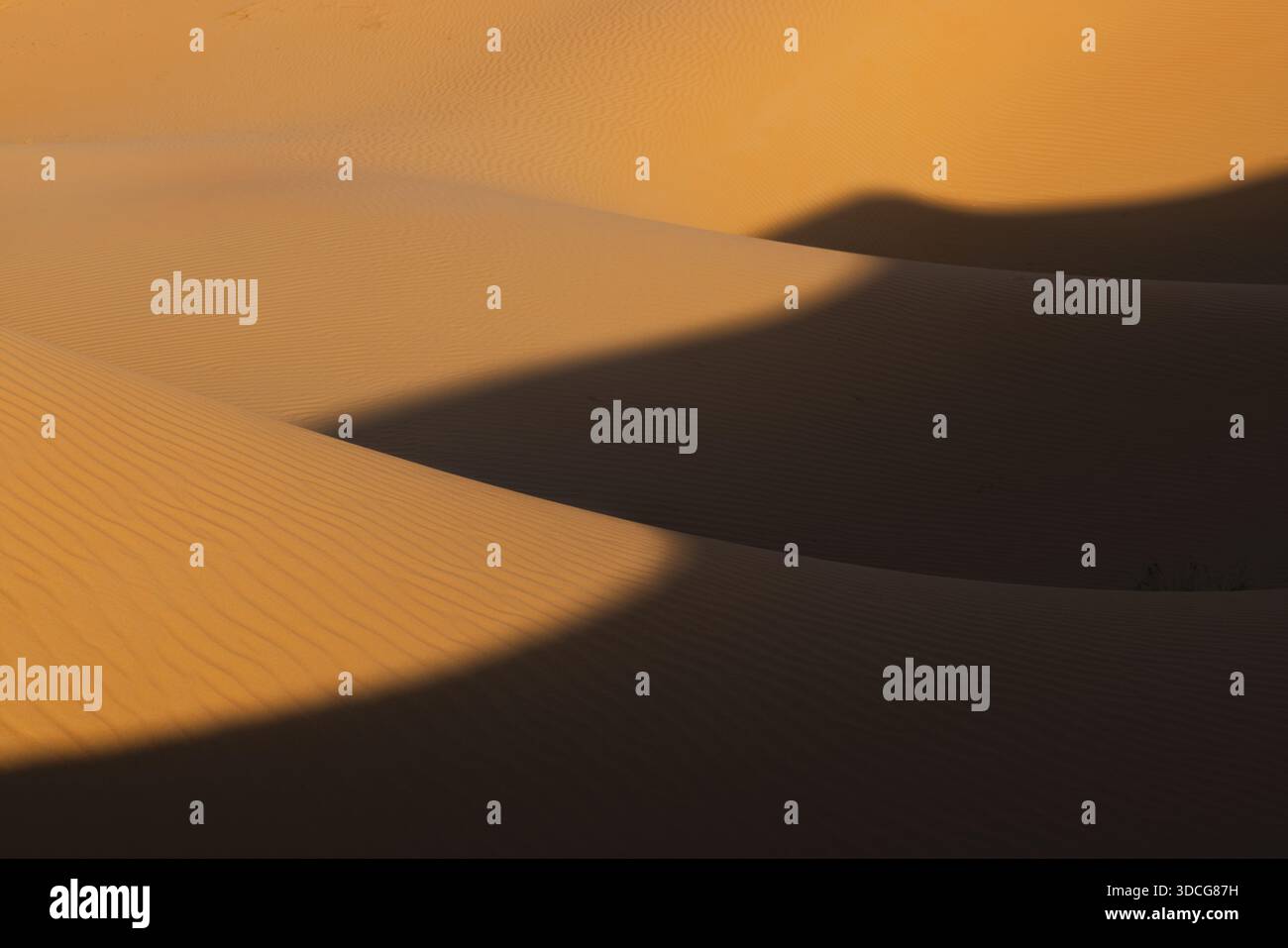 Blick auf hügelige Sanddünen, in goldenes Sonnenlicht getaucht und tiefe, kontrastierende Schatten über die trockene Landschaft werfen, Bateen Liwa, Abu Dhabi, Unit Stockfoto