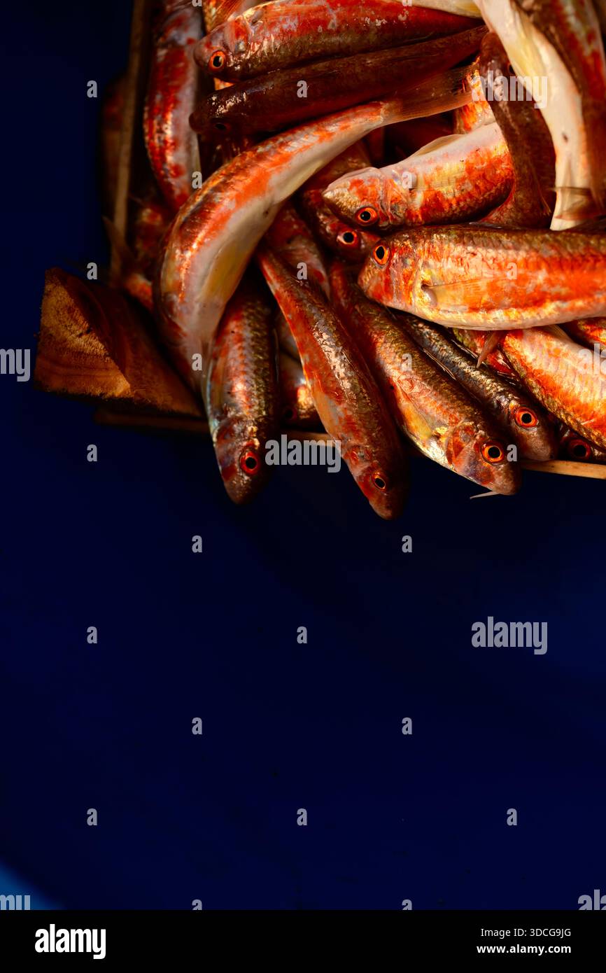 Frischer roter Goldbarsch, roher Fisch, arrangiert in einer rustikalen Holzkiste, zeigt farbenfrohe mediterrane Meeresfrüchte, Tagesfang und natürliche Nahrungsmitteltextur Stockfoto