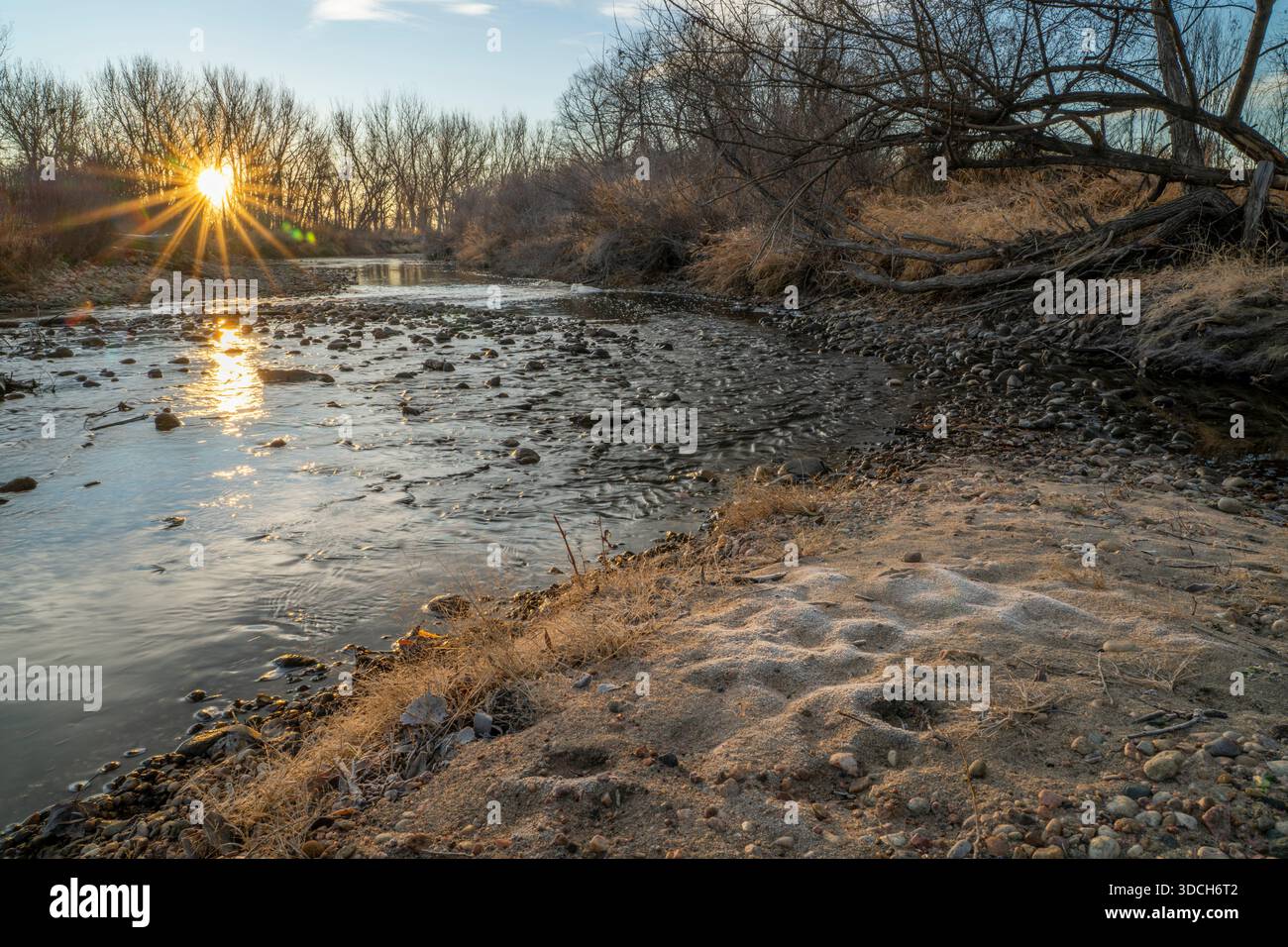 Wintersonnenaufgang über dem Poudre River in Fort Collins, Colorado Stockfoto