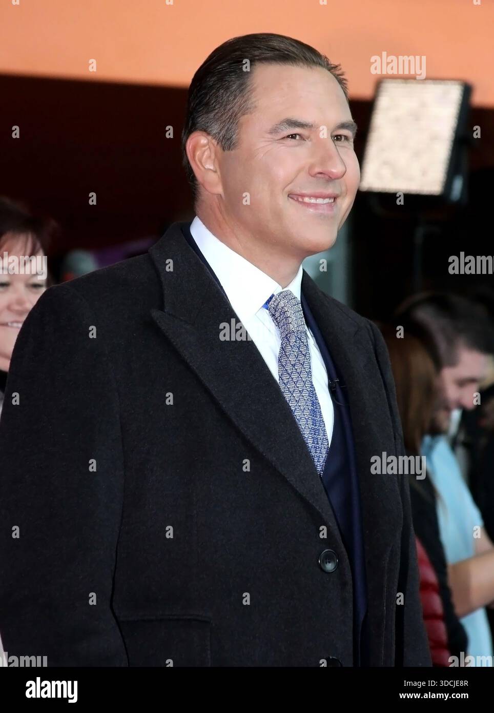 OIC - ENTSIMAGES.COM - David Walliams, at the Britain’s Got Talent Red Carpet Arrangements MANCHESTER 29. januar 2015 Photo Massoud Mahmood Ents Images/OIC 0203 174 1069 Stockfoto