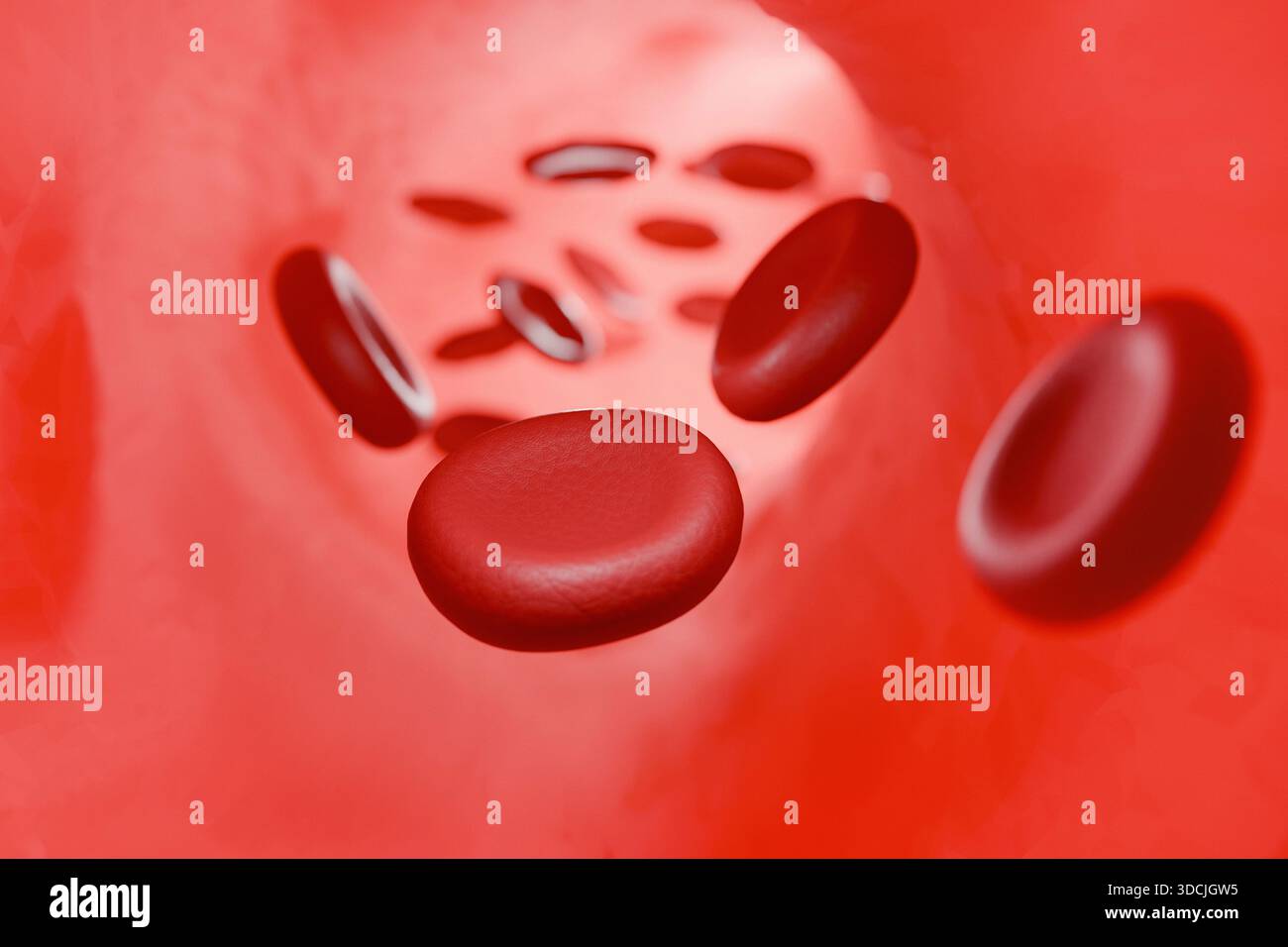 3D-Illustration von roten Blutkörperchen, die durch ein Blutgefäß fließen und die Konzepte für Kreislauf, menschliche Anatomie, Gesundheitswesen und medizinische Wissenschaft darstellen. Stockfoto