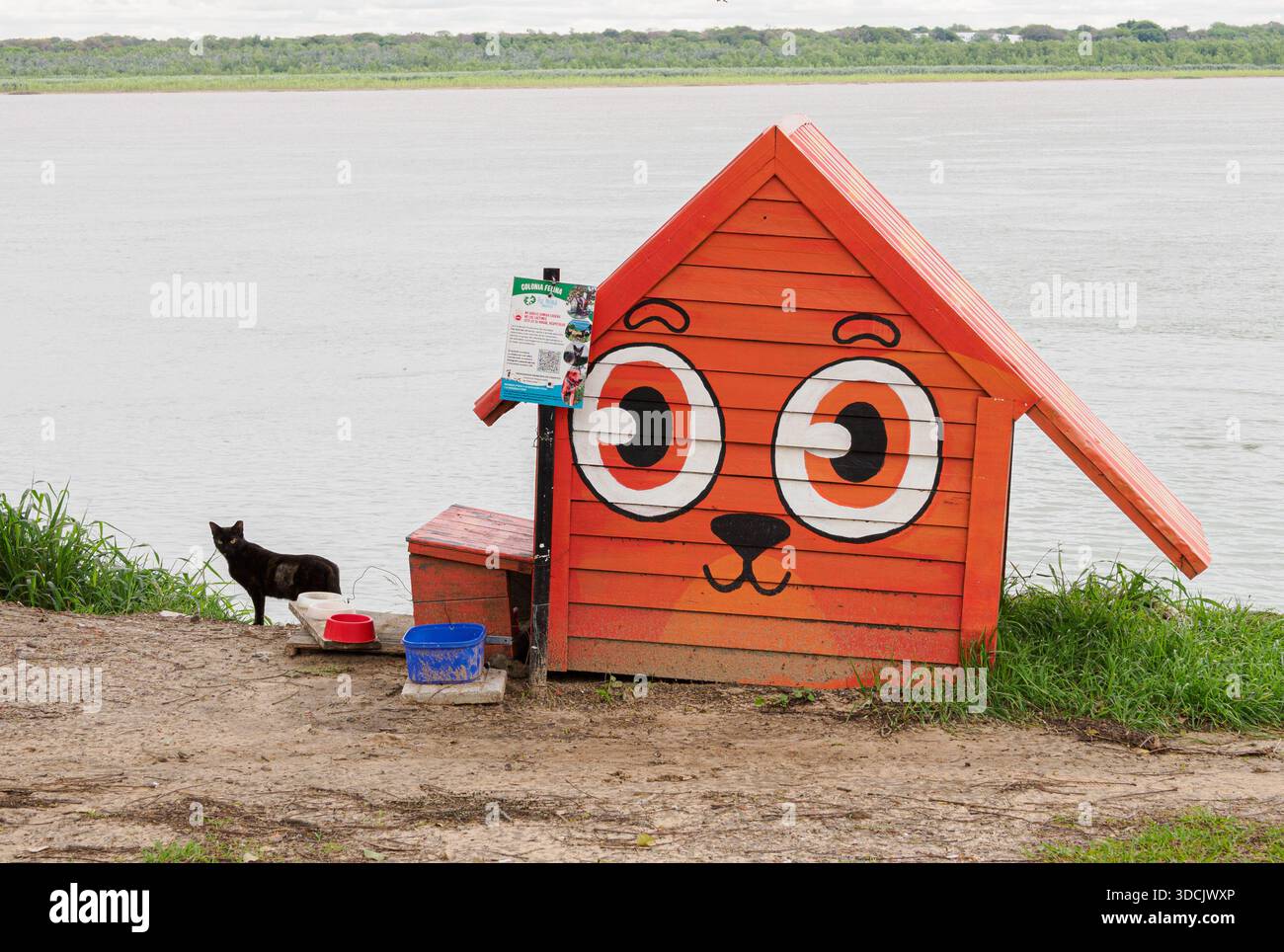 Katze in einem stilvollen Tierheim am Fluss Parana costanera in Corrientes im Norden Argentiniens, eingerichtet von einer Wohltätigkeitsorganisation lokaler Tierliebhaber Stockfoto