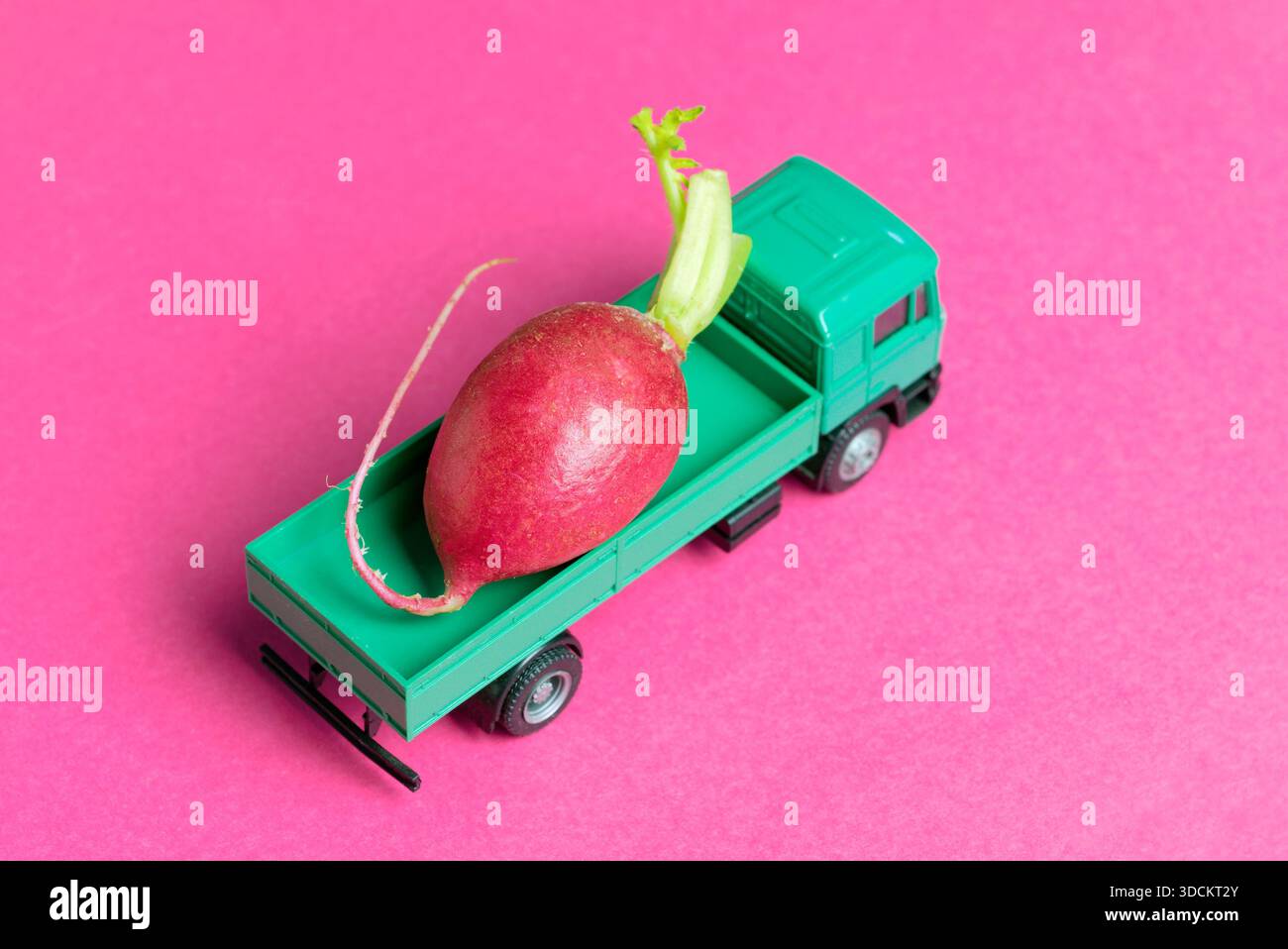 Spielzeugwagen mit Rettich Stockfoto