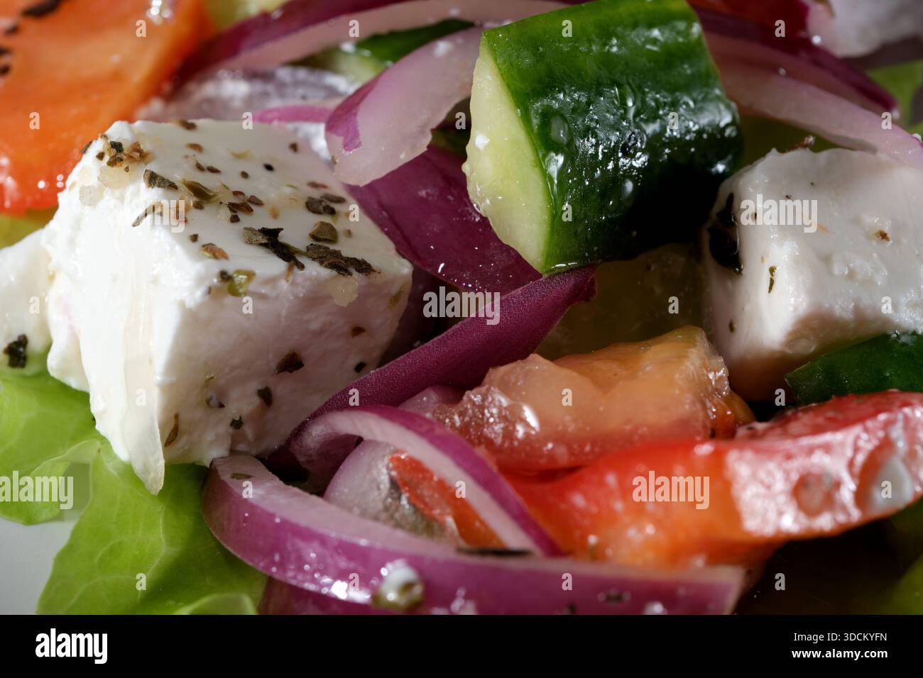 Eine köstliche Mischung aus Gurken, Tomaten und Zwiebeln serviert auf frischem Gemüse. Stockfoto