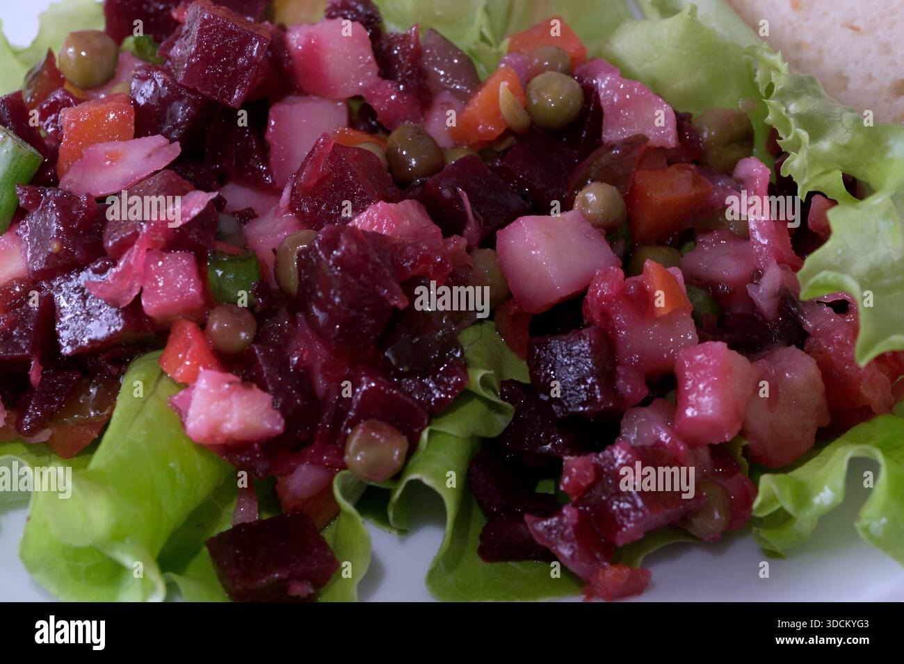 Eine lebendige Mischung aus Rüben und Gemüse liegt auf knusprigem Salat, perfekt zum Teilen. Stockfoto