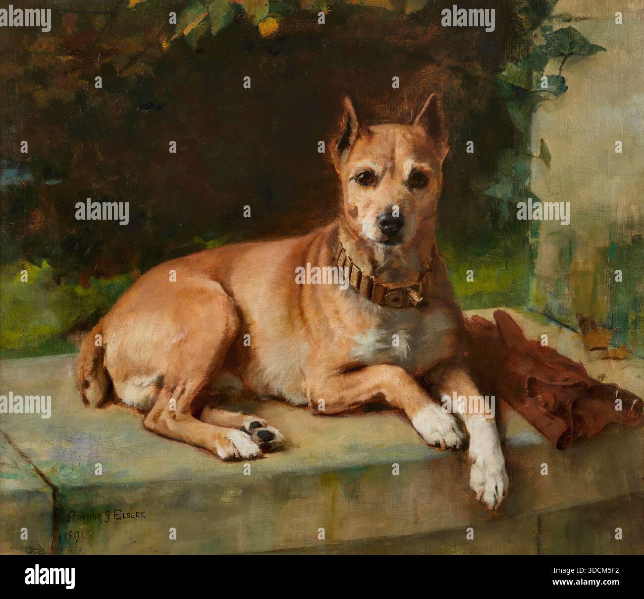 Arthur John Elsley - ein treuer Begleiter Stockfoto