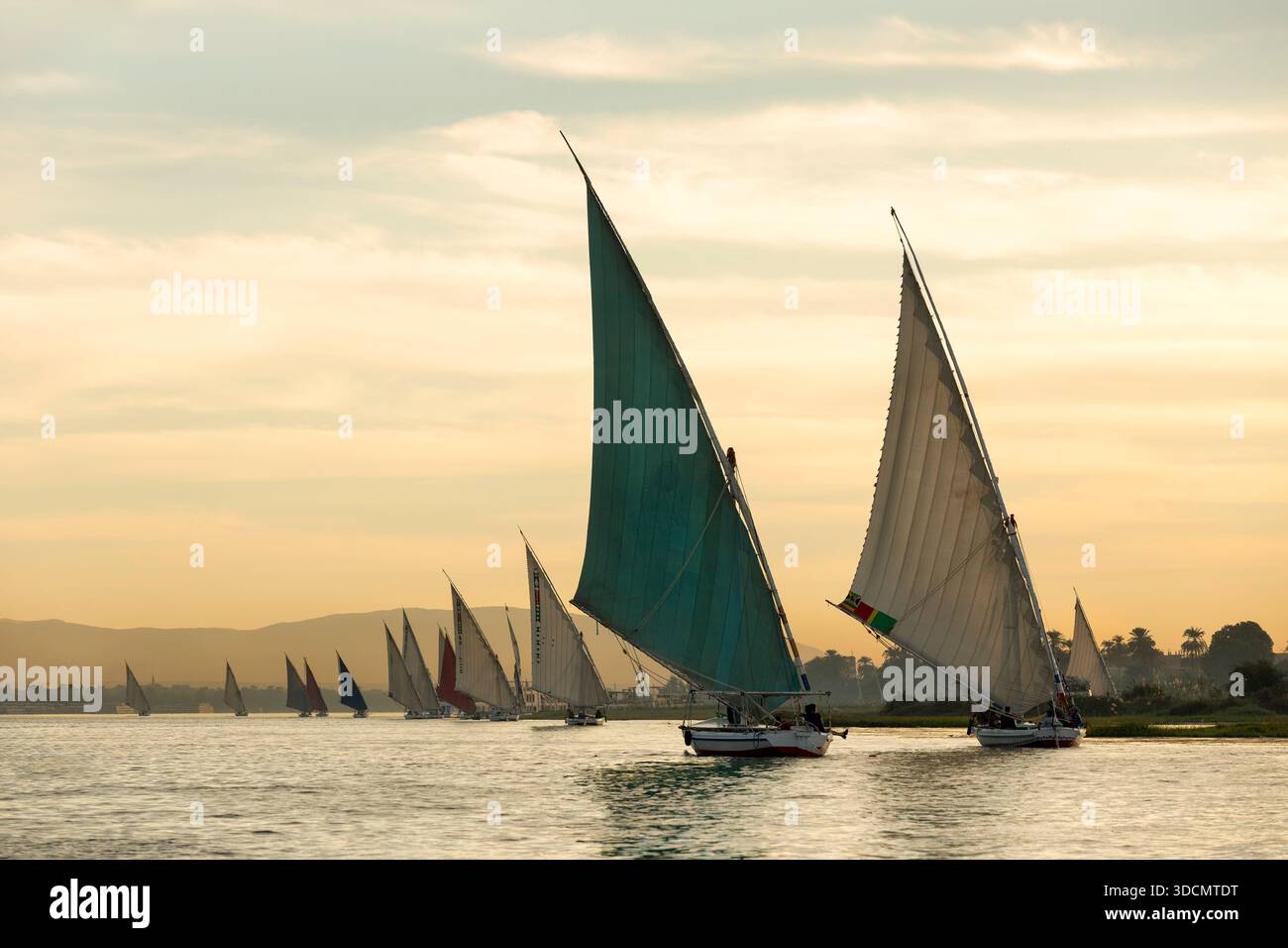 Traditionelle Felukenboote auf dem Nil in Assuan. Herrlicher Blick auf den Nil bei Sonnenuntergang. Assuan, Ägypten Stockfoto