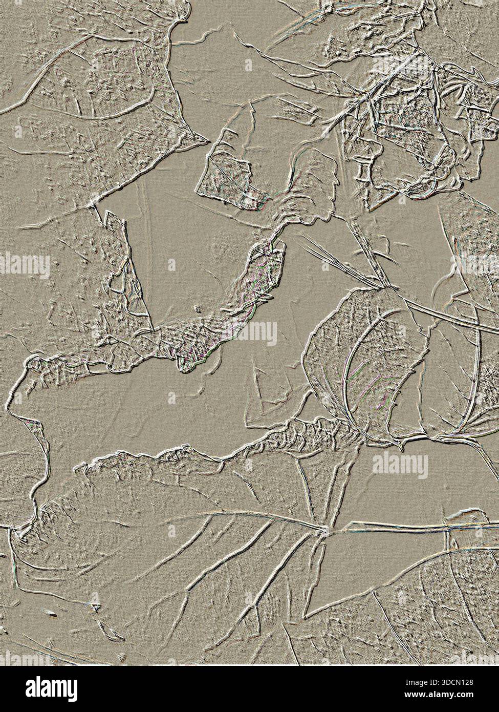 Das Design in neutralen Farben lässt die Hintergrundstruktur wie natürliche Pflanzen aussehen. Die Hintergrundbeleuchtung fügt Details feiner Linien und Prägungen hinzu, als wären sie geprägt. Stockfoto