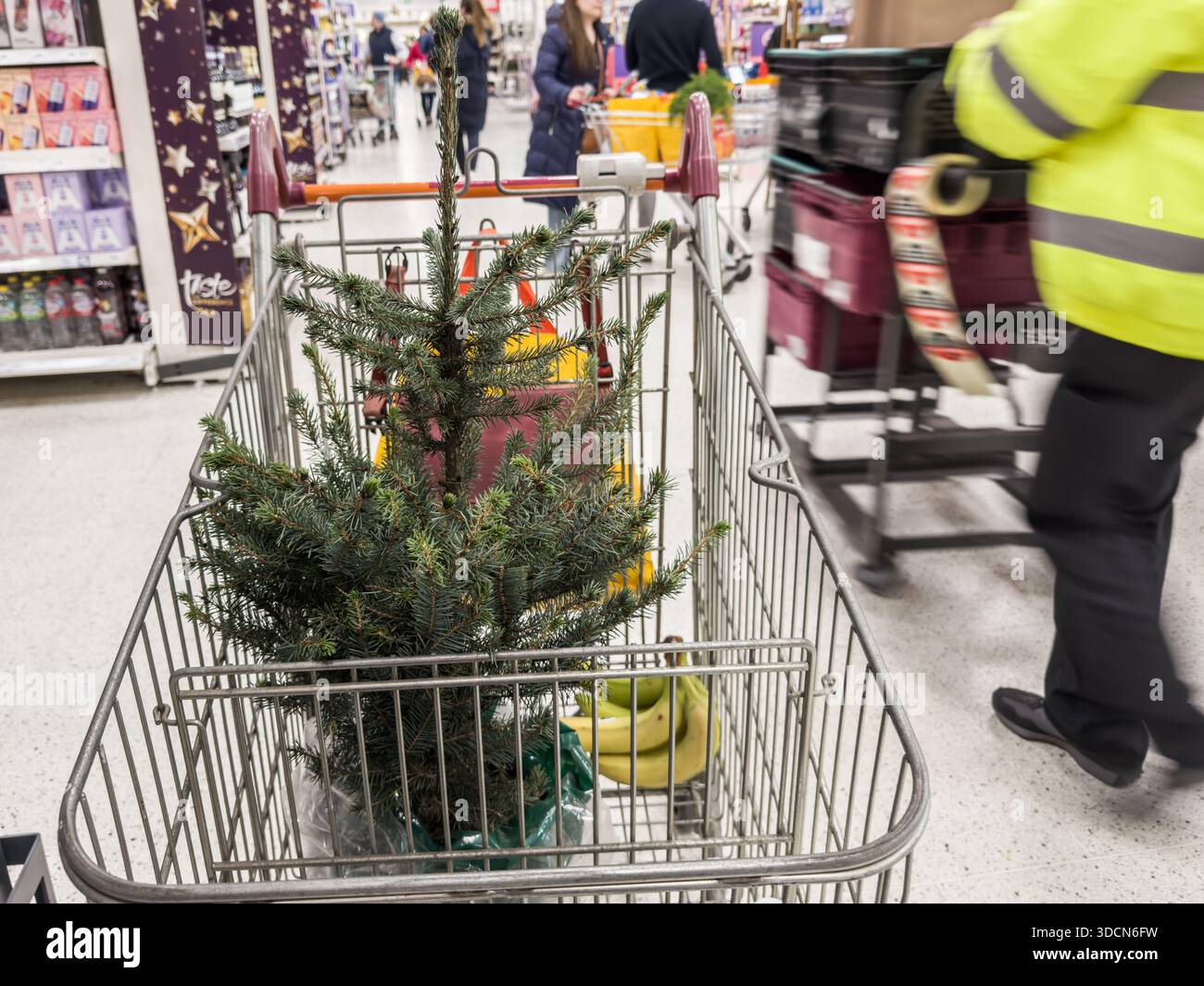 London, England – während der Weihnachtszeit im Einkaufswagen des Supermarktes schiebt der Käufer Weihnachtsbaum Stockfoto