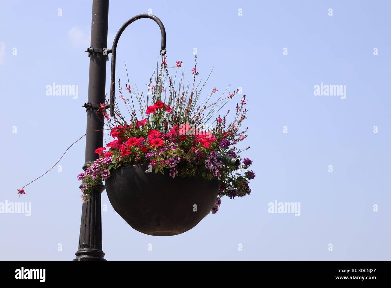 Korb mit roten Blumen, die am schwarzen Eisenpfosten unter dem klaren blauen Sommerhimmel hängen (Nahaufnahme) Stockfoto