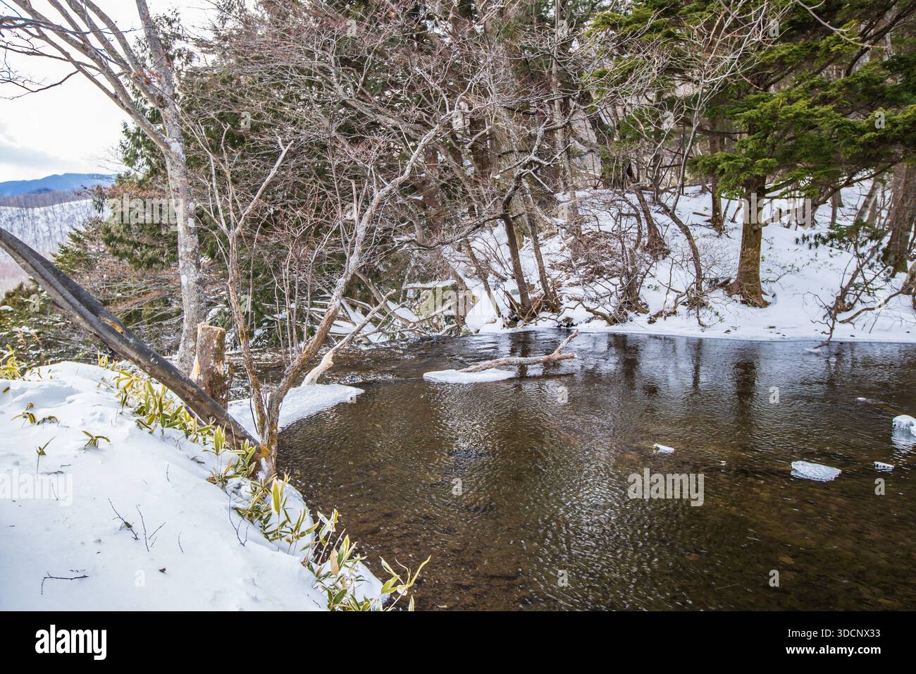 Winterlandschaft in Oku-Nikko, Präfektur Tochigi Stockfoto