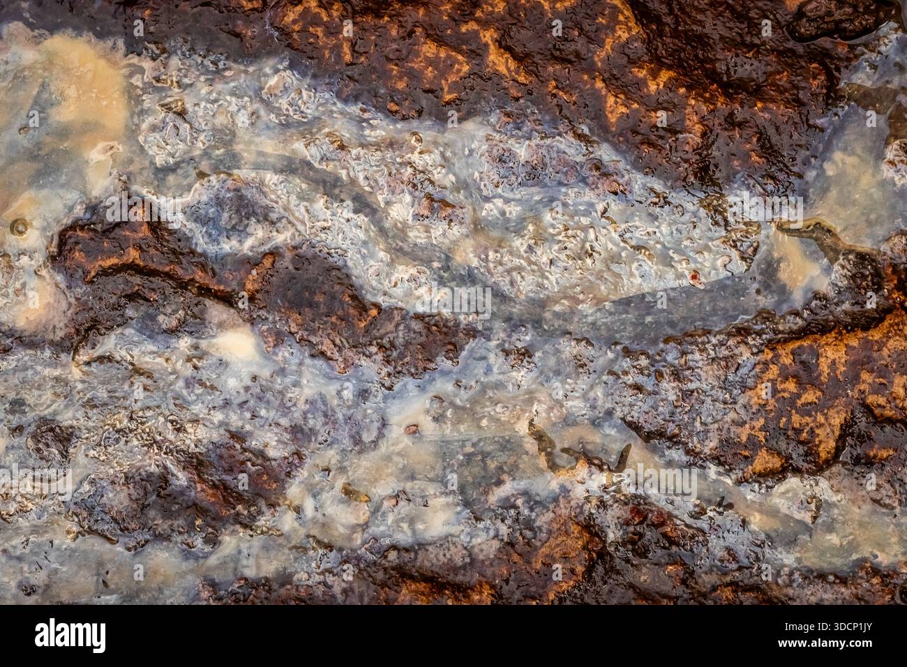 Fès war ein fantastischer Halt auf meiner Tour durch Marokko Stockfoto