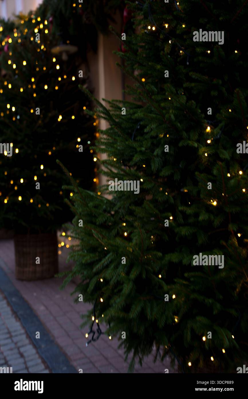Festliche Weihnachtsszene mit beleuchteten weihnachtsbäumen, die mit warmen funkelnden Lichtern geschmückt sind, vor einer ruhigen urbanen Straßenlage, die ein gemütliches Meer schafft Stockfoto