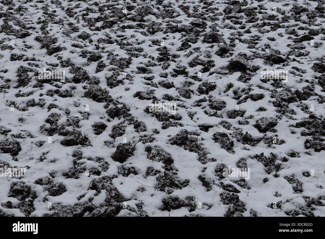 Ein schneebedecktes Bauernfeld bei trüben, bewölktem Wetter im Winter Stockfoto