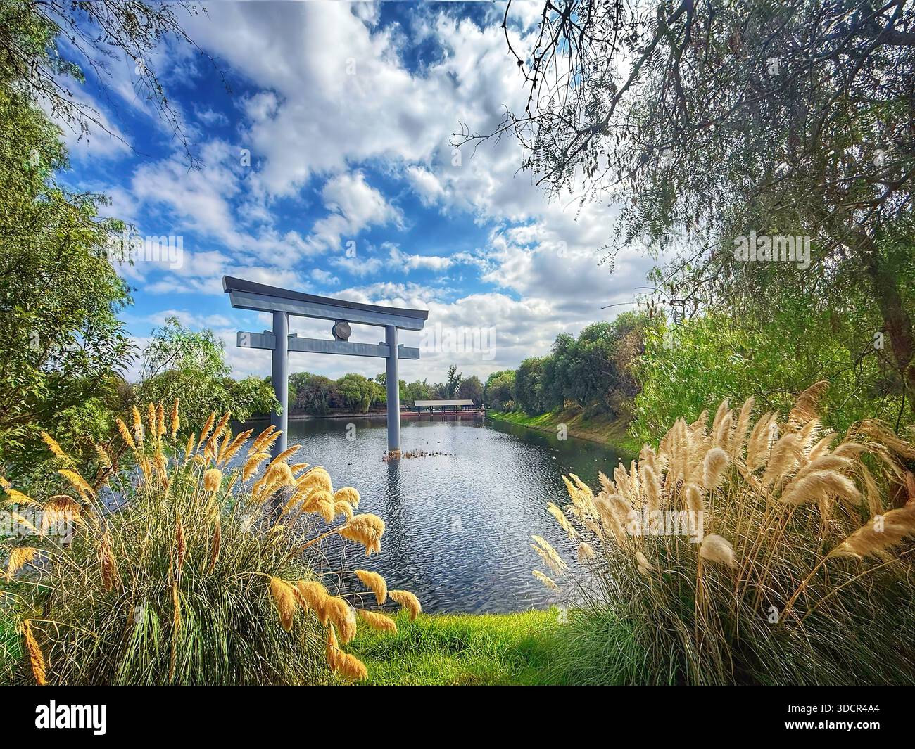 Traditionelles japanisches Torii-Tor im Japanischen Garten in San Luis Potosí, Mexiko - eine ruhige, weitläufige Oase im Parque Tangamanga I Stockfoto