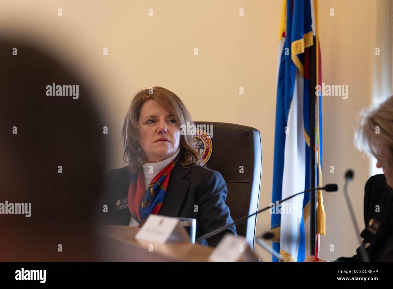Shannon Bird, D-Westminster, Mitglied des Gemeinsamen Haushaltsausschusses, nimmt an einer Ausschussanhörung Teil. Stockfoto