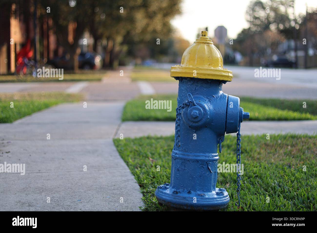 Hellgelber und blauer Hydrant an der Wohnstraße Stockfoto