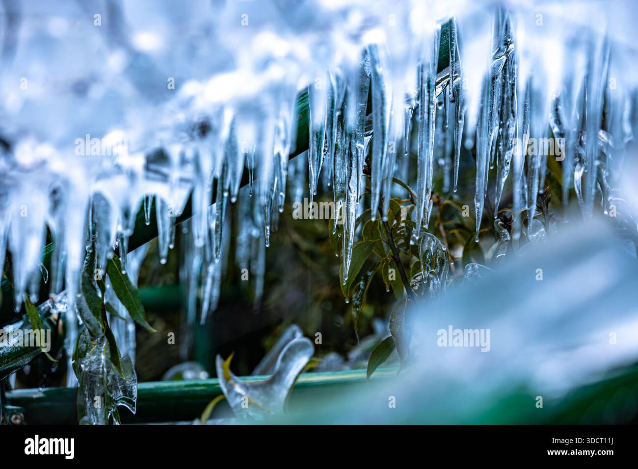 Eiszapfen von Onouchi Hyakukei, Präfektur Saitama Stockfoto