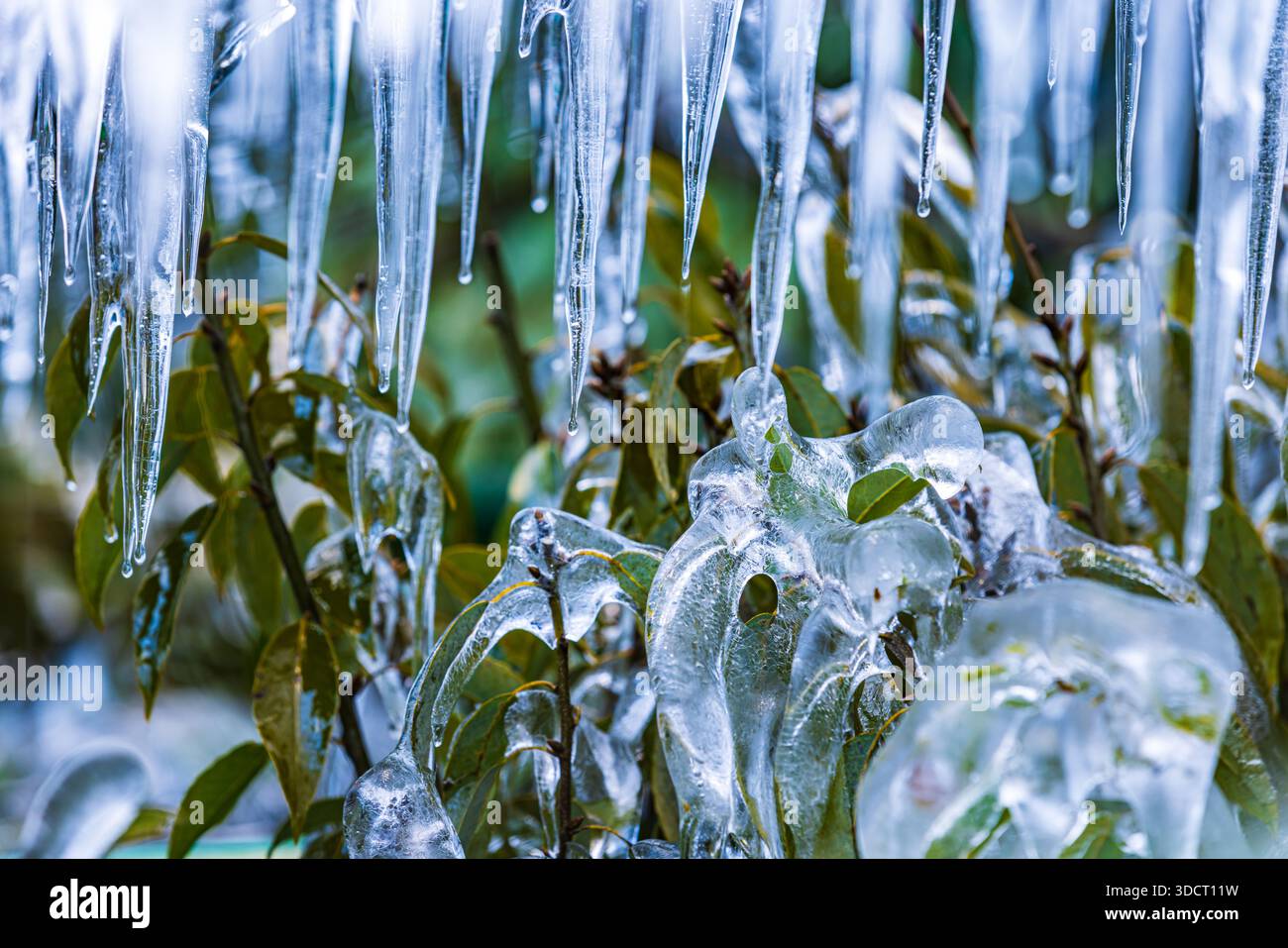 Eiszapfen von Onouchi Hyakukei, Präfektur Saitama Stockfoto