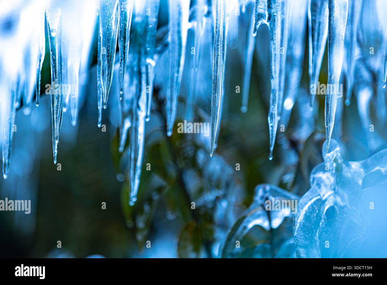Eiszapfen von Onouchi Hyakukei, Präfektur Saitama Stockfoto
