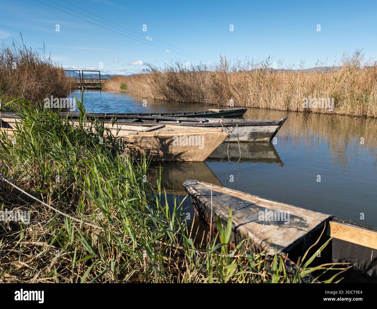 Traditionelle Holzboote ruhen in einem ruhigen Kanal, umgeben von hohem Schilf unter einem klaren blauen Himmel, was Ruhe und ländliche Lebensweise weckt Stockfoto