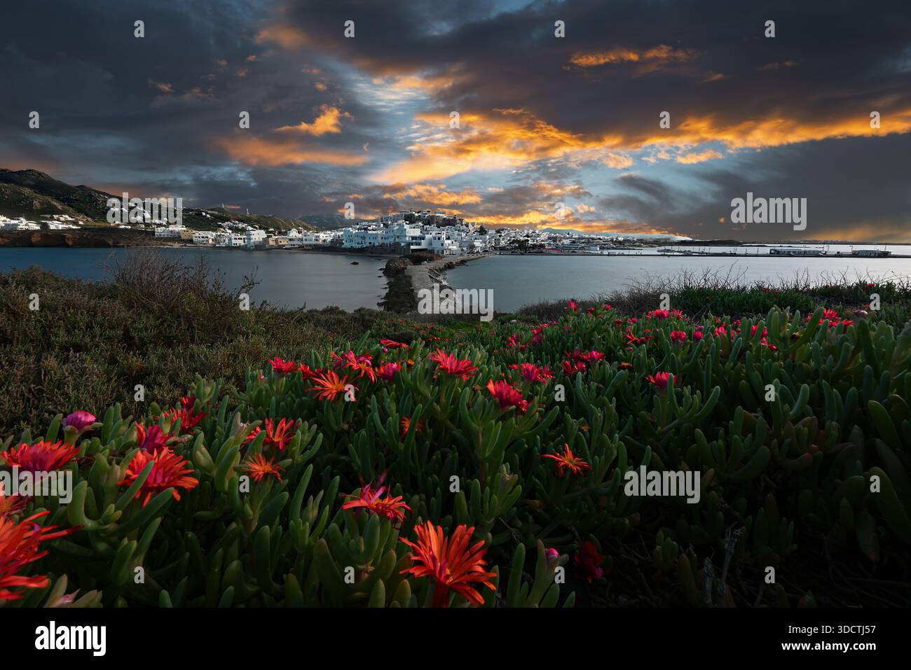 Die Abenddämmerung zeigt Naxos Town, während warme Lichter über den verwinkelten Straßen leuchten. Stockfoto