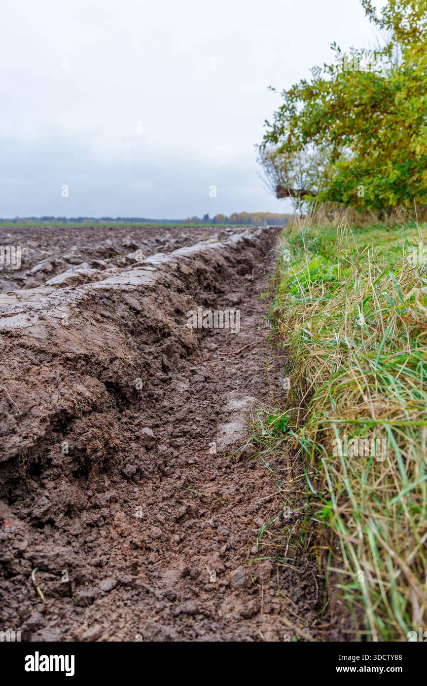 Frisch gepflügte dunkle Bodenfurche auf einem Ackerfeld unter bedecktem Himmel, grenzt an einen grünen grasbewachsenen Rand und Herbstbäume. Stockfoto