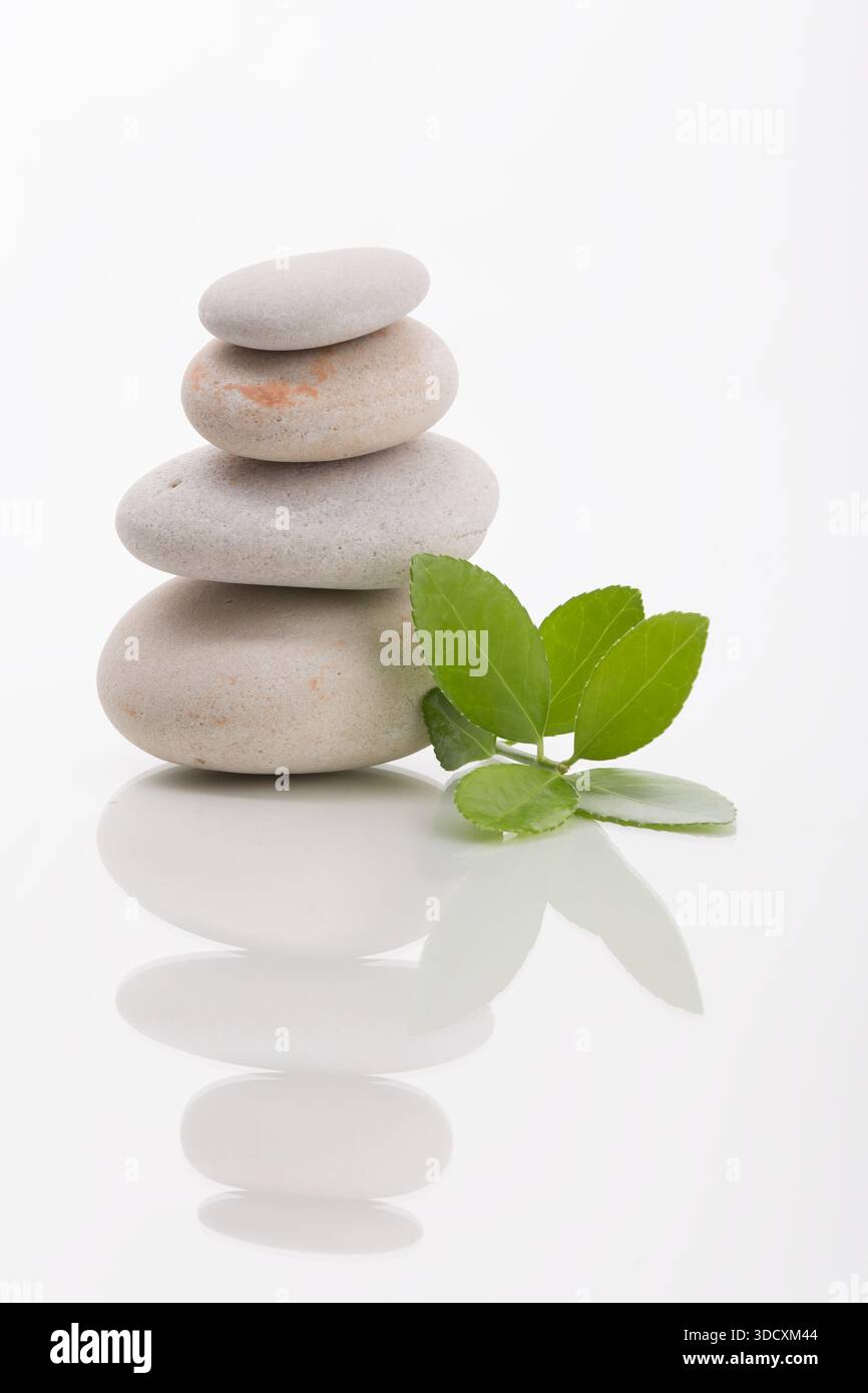 Nahaufnahme eines Stapels von ausgeglichenen glatten Steinen mit grünen Blättern als Konzept für Harmonie, Balance und Reinheit. Aufgenommen im Studio, in neutralen Farben auf A Stockfoto
