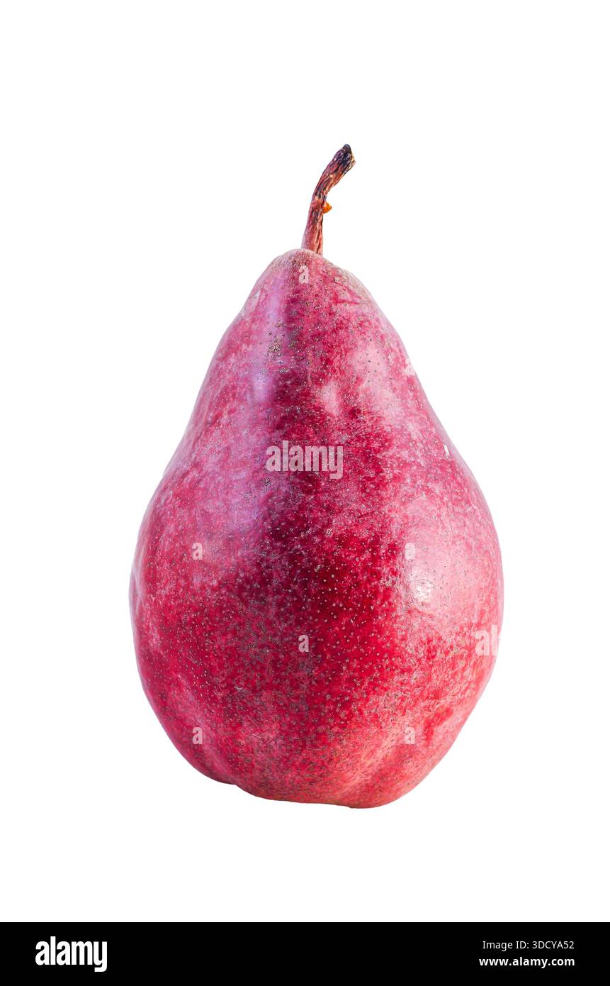 Eine einzelne reife rote Birne, isoliert auf einem sauberen weißen Hintergrund für einfache Verwendung Stockfoto