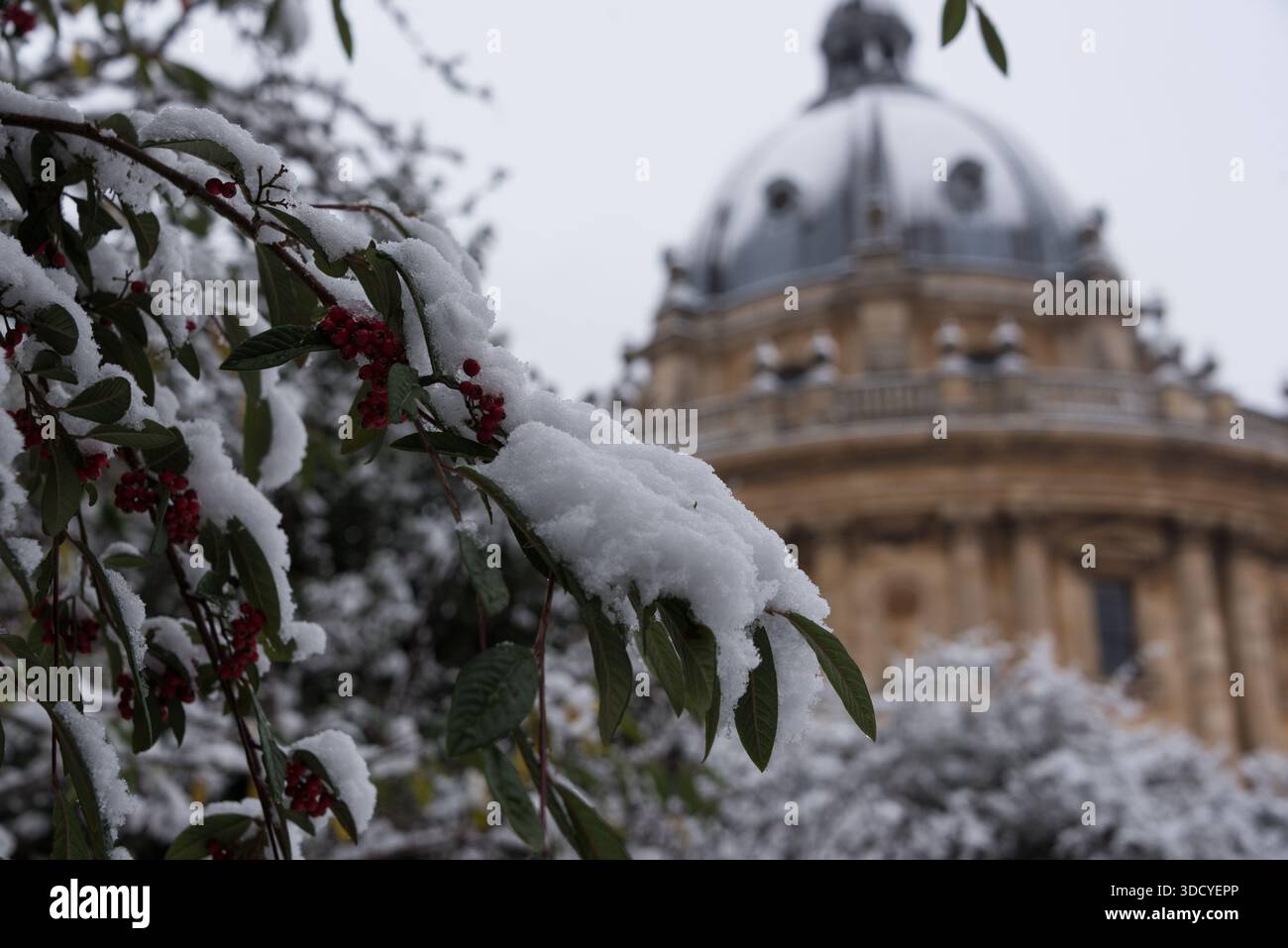 Radcliffe Kamera im Winter 2021, Oxford, Großbritannien Stockfoto