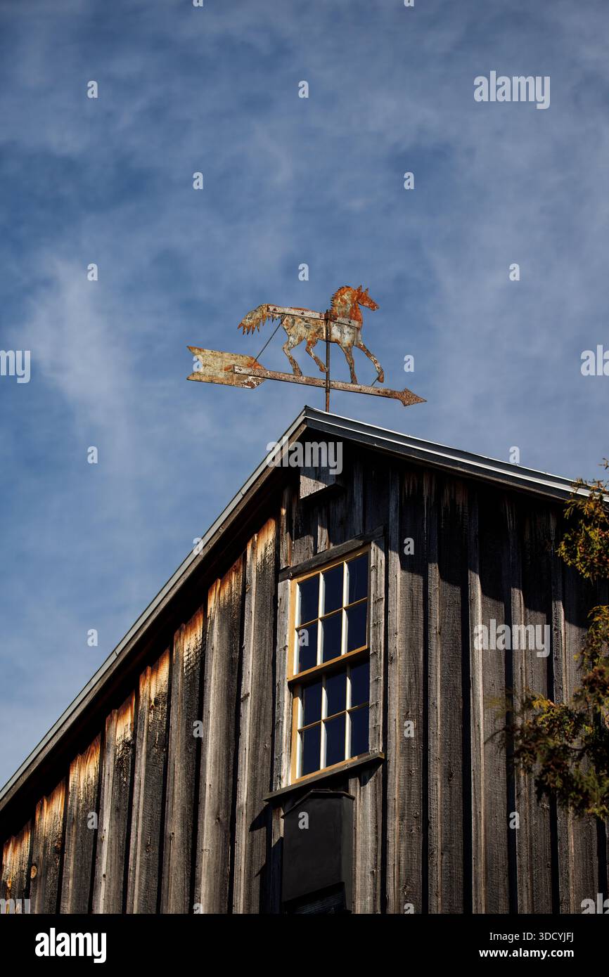 Rosted Pferdewetterfahne mit Patina auf dem Dach einer alten Scheune, blauer Himmel und schroffe Wolken, rustikale ländliche Architektur. Stockfoto