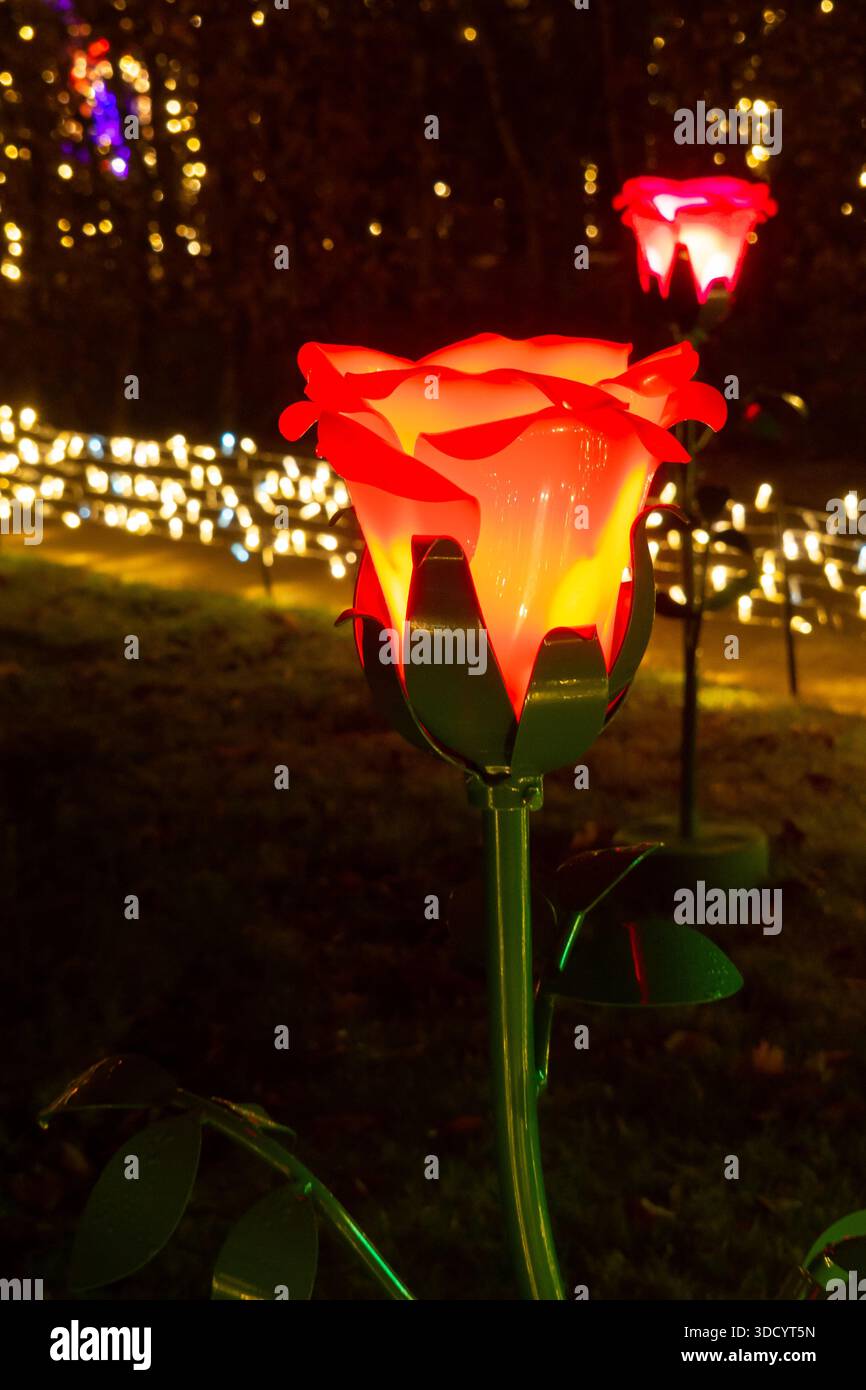 Nachtgarten Mit Leuchtender Rosenskulptur Mit Feenlichtern Stockfoto