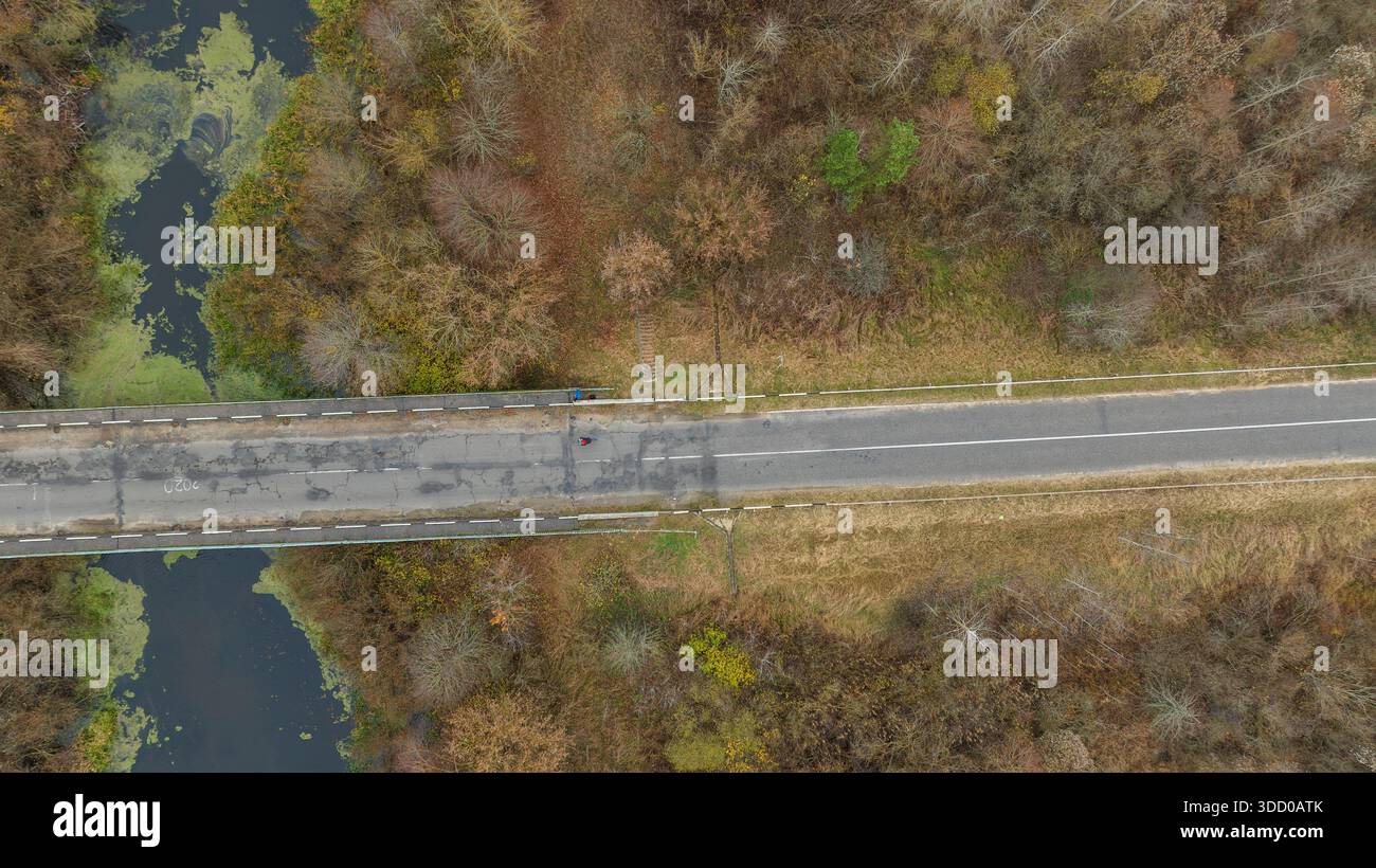 Die Luftaufnahme zeigt eine zweispurige Straße und eine Brücke, die einen sumpfigen Fluss im ländlichen Belarus überquert, baumlose Wälder, fleckiges Schilf, grüne Algen im dunklen Wasser, spät Stockfoto
