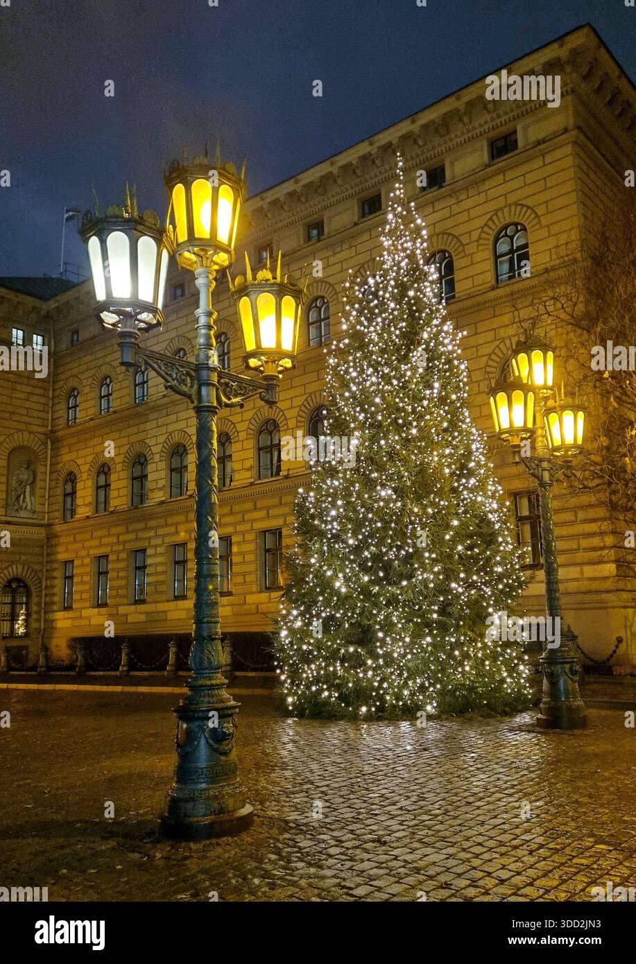 Eine Nachtszene mit einem geschmückten Weihnachtsbaum in Rigas Altstadt, Lettland Stockfoto