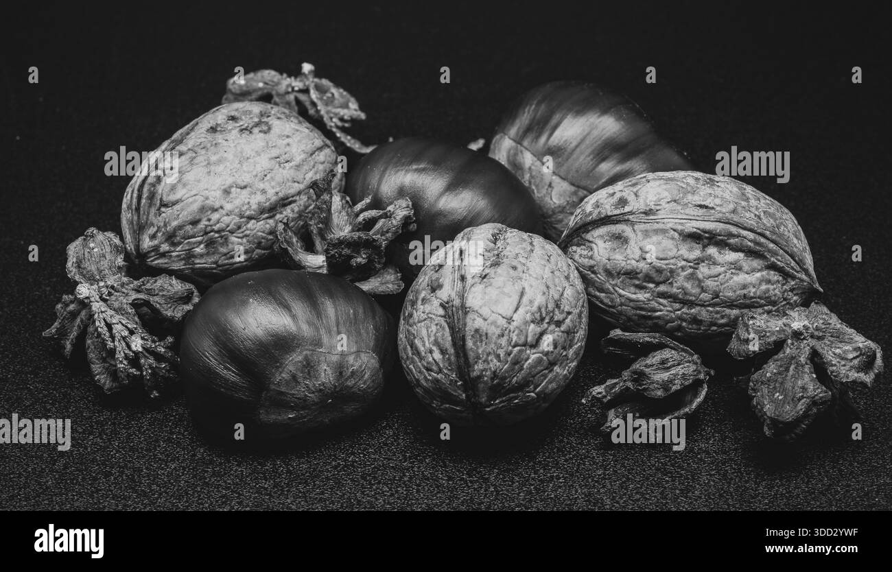 Eine Komposition aus typisch herbstlichen Früchten wie Kastanien und Walnüssen, die ihre Schönheit und Details verbessern. Stockfoto