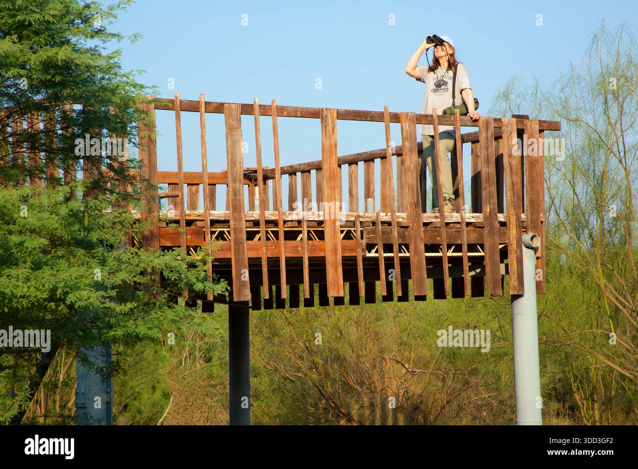 Aussichtsturm, San Ygnacio Bird Sanctuary, Texas Stockfoto