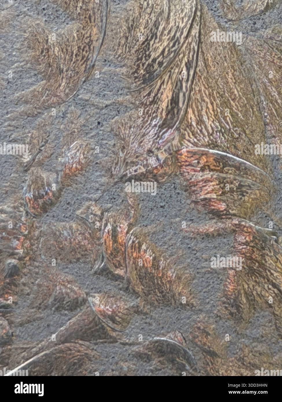 Das Design in neutralen Farben lässt die Hintergrundstruktur wie natürliche Pflanzen aussehen. Die Hintergrundbeleuchtung fügt Details feiner Linien und Prägungen hinzu, als wären sie geprägt. Stockfoto