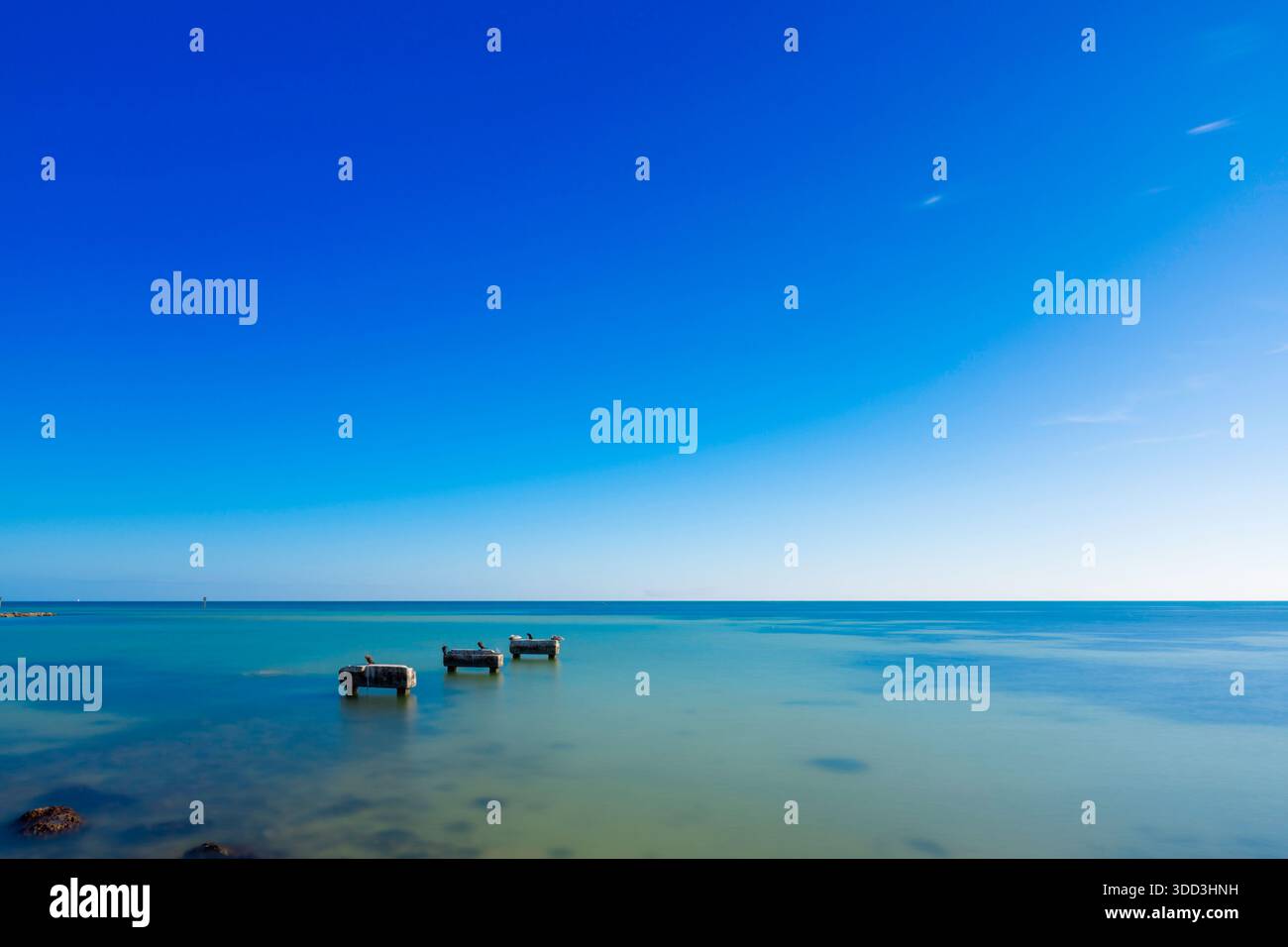 Alte Überreste in den Gewässern von Key West Florida Stockfoto