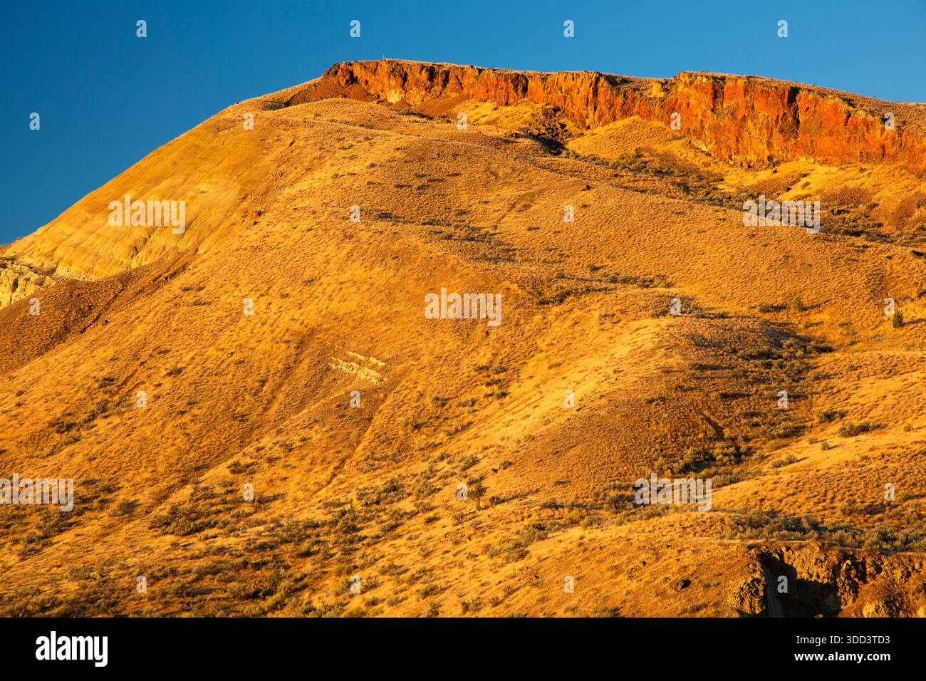 Carroll, John Day Fossil Beds National Monument-Painted Hills, Michigan Stockfoto