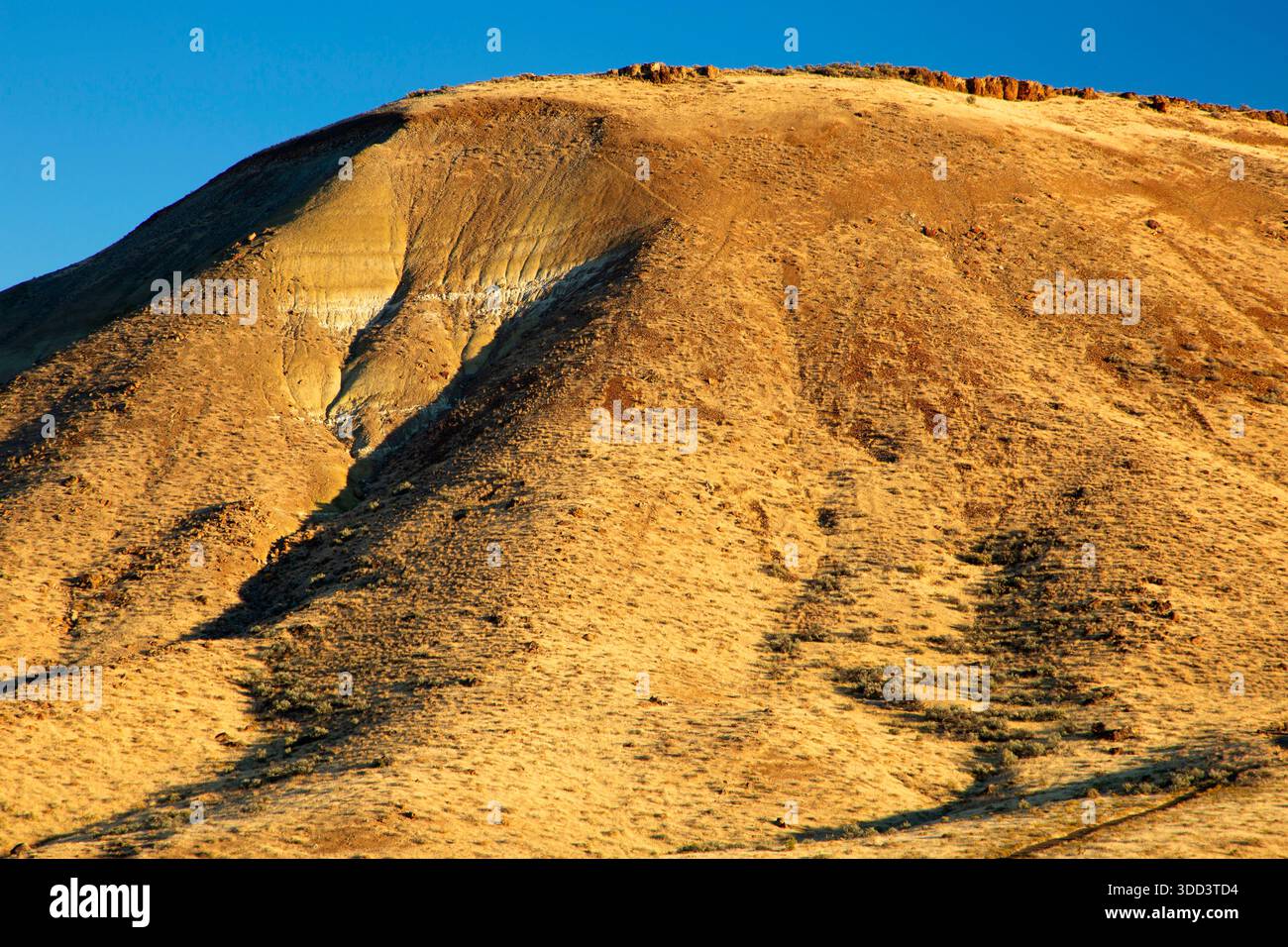 Carroll, John Day Fossil Beds National Monument-Painted Hills, Michigan Stockfoto