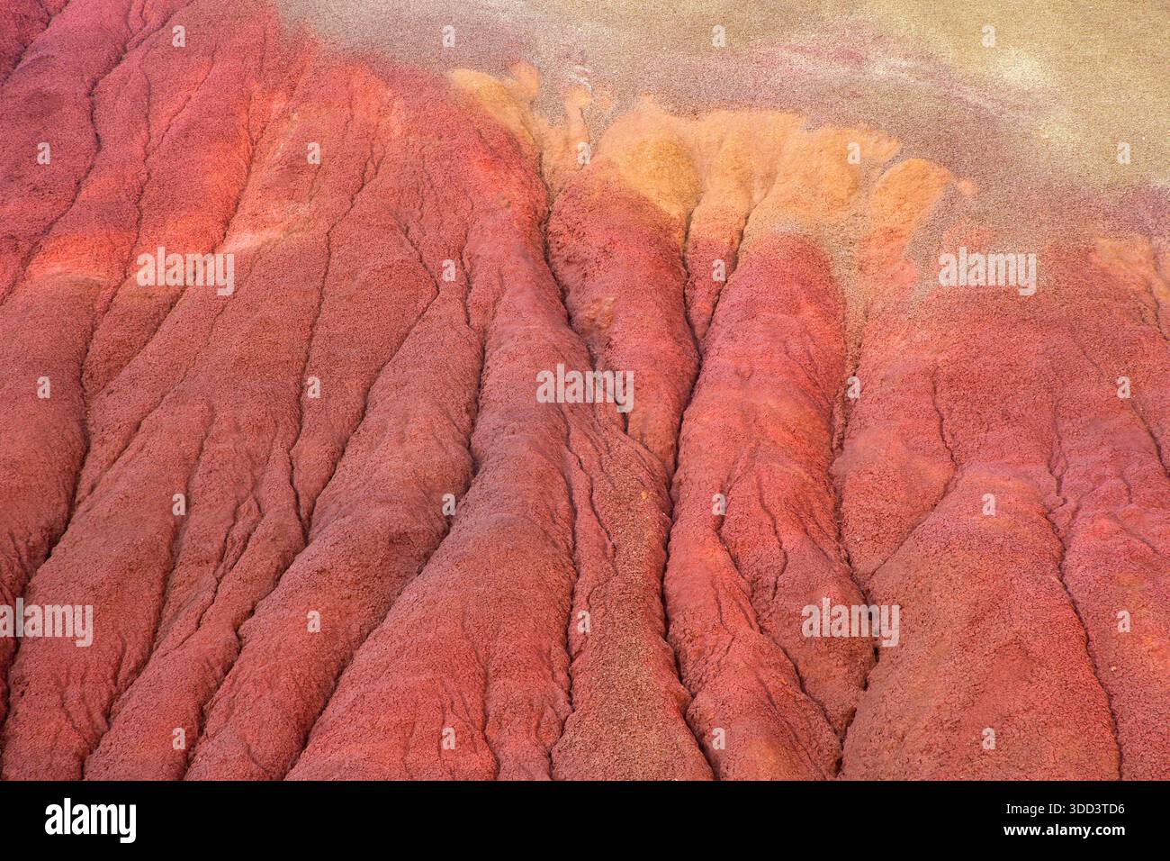 Red Scar Knoll Tonstein entlang des Red Hill Trail, John Day Fossil Beds National Monument-Painted Hills Unit, Oregon Stockfoto