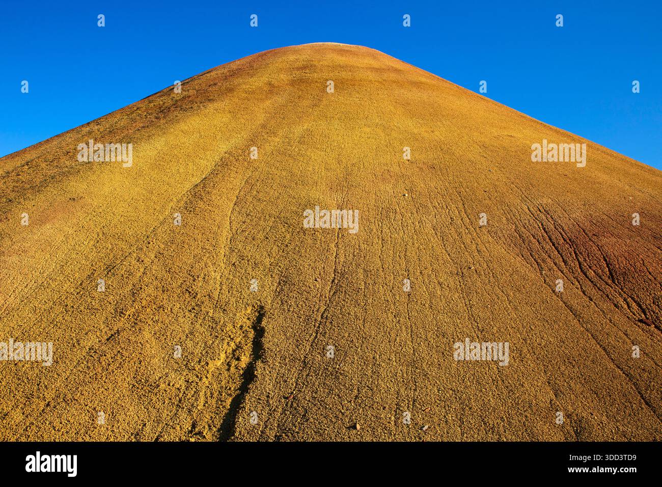 Red Scar Knoll Tonstein entlang des Red Hill Trail, John Day Fossil Beds National Monument-Painted Hills Unit, Oregon Stockfoto