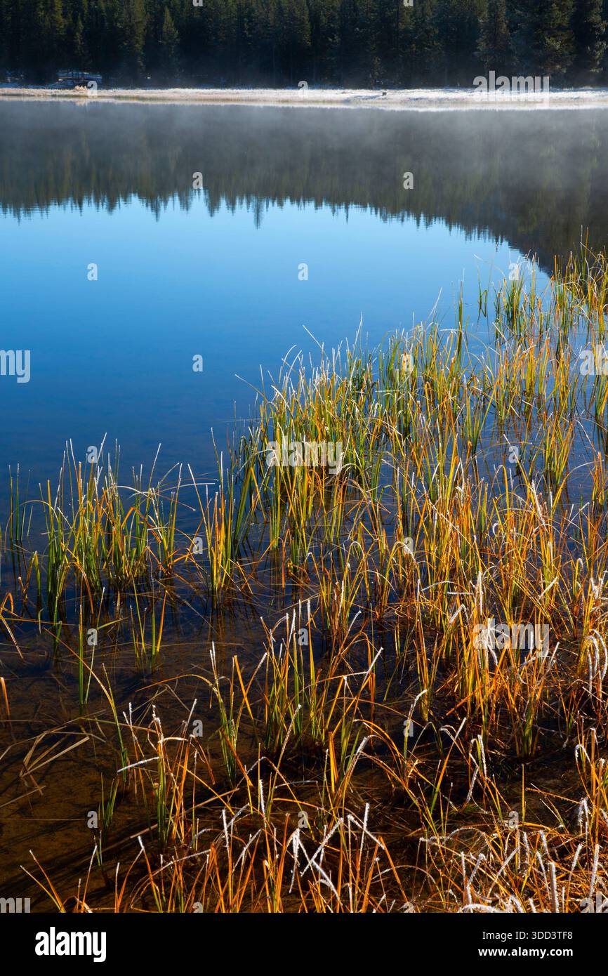 Anthony Lakes, Wallowa-Whitman National Forest, Elkhorn National Scenic Byway, Oregon Stockfoto