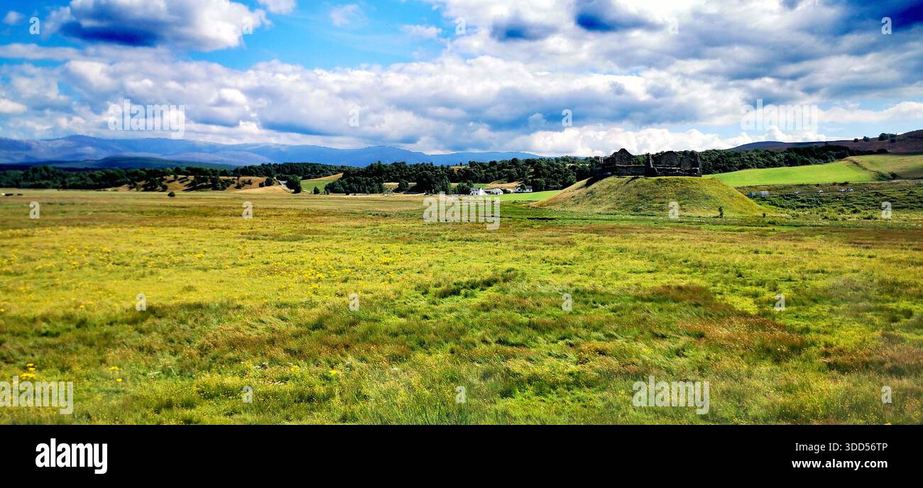 Sommergrüne Felder in Schottland unter einem tiefblauen Himmel mit weichen weißen Wolken, die die Ruhe und Offenheit der Landschaft einfangen Stockfoto