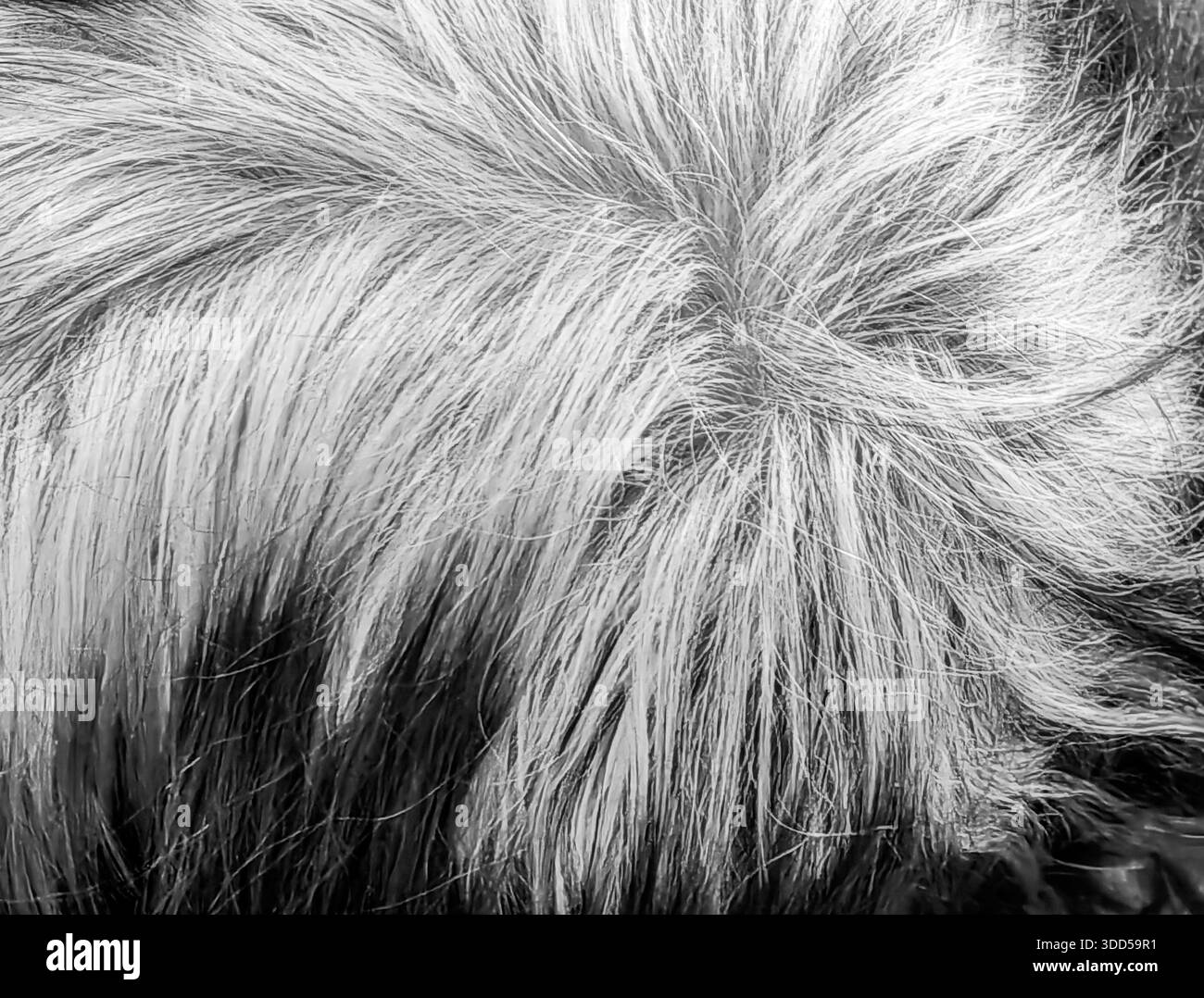 Zeitspuren. Einfarbige Farbtöne. Stockfoto