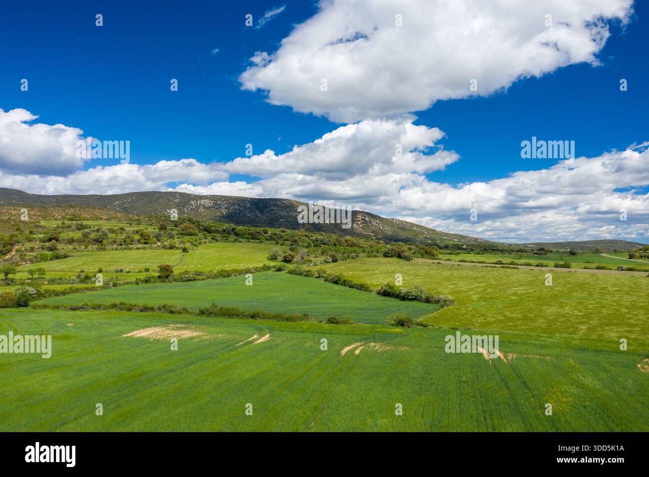 Ausgedehnte grüne Felder erstrecken sich in Richtung sanft abfallender Hügel unter einem leuchtend blauen Himmel voller geschwollener weißer Wolken in der Nähe von Bierge, Spanien. Die Landschaft ist üppig und lebendig, was ein Gefühl von Ruhe und offenem Raum weckt. Stockfoto