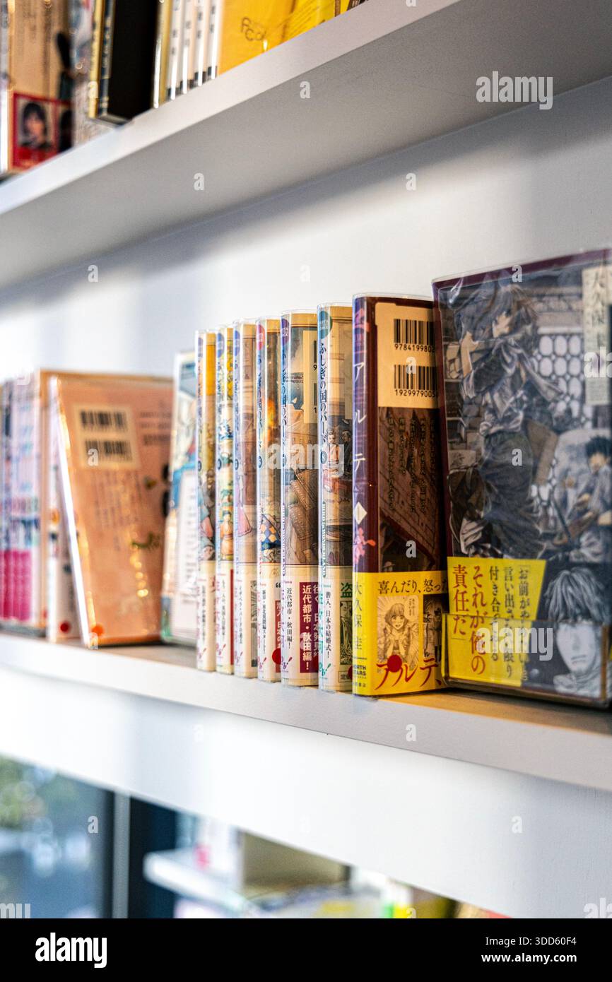 Das Innere des Manga Art Hotels, ein Kapselhotel mit Manga-Bücherregalen, Chiyoda City, Tokio, Japan Stockfoto