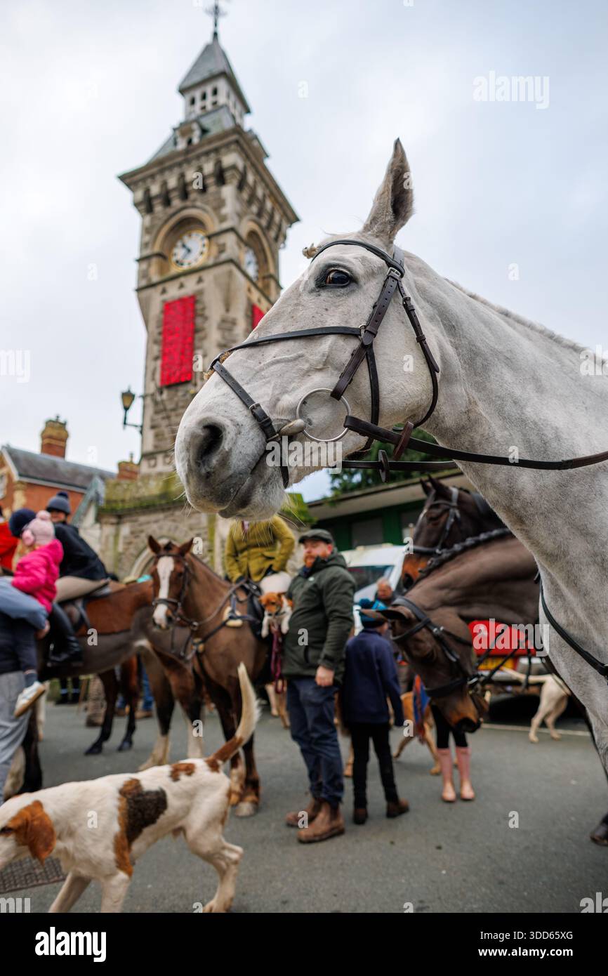 Jagd am zweiten Weihnachtsfeiertag in Hay-on-Wye Stockfoto