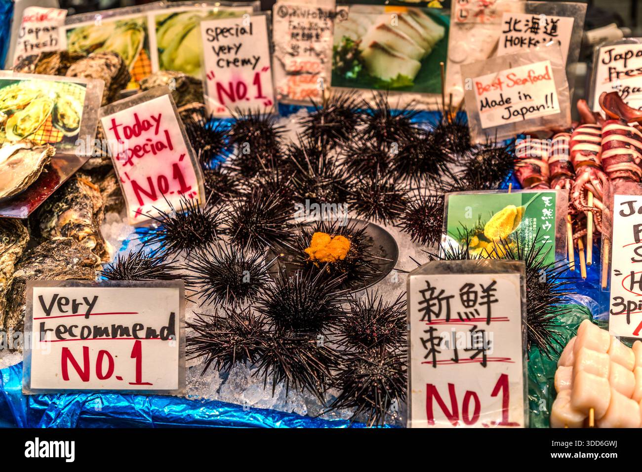 Seeigel liegen frisch geöffnet auf Eis zum Verkauf im Kuromon Ichiba Markt in Osaka, Japan (offiziell seit 1902 lizenziert, seine Wurzeln als Handelsplatz reichen bis in das frühe 19. Jahrhundert zurück). Handgeschriebene Schilder empfehlen sie als „Nr. 1“-Waren, neben denen Tintenfische und Austern ausgestellt sind. Stockfoto