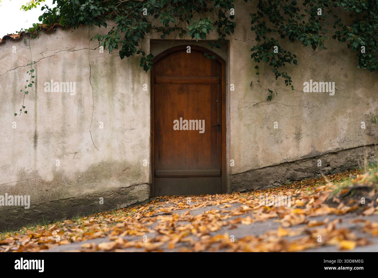 Holztür in Betonwand mit herabfallendem Herbstlaub Stockfoto